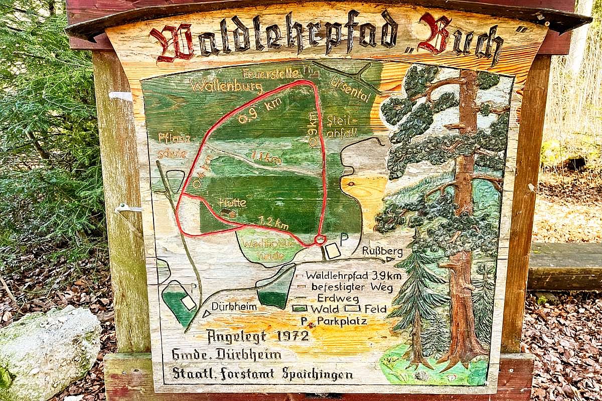 Waldlehrpfad Buch Wurmlingen 
