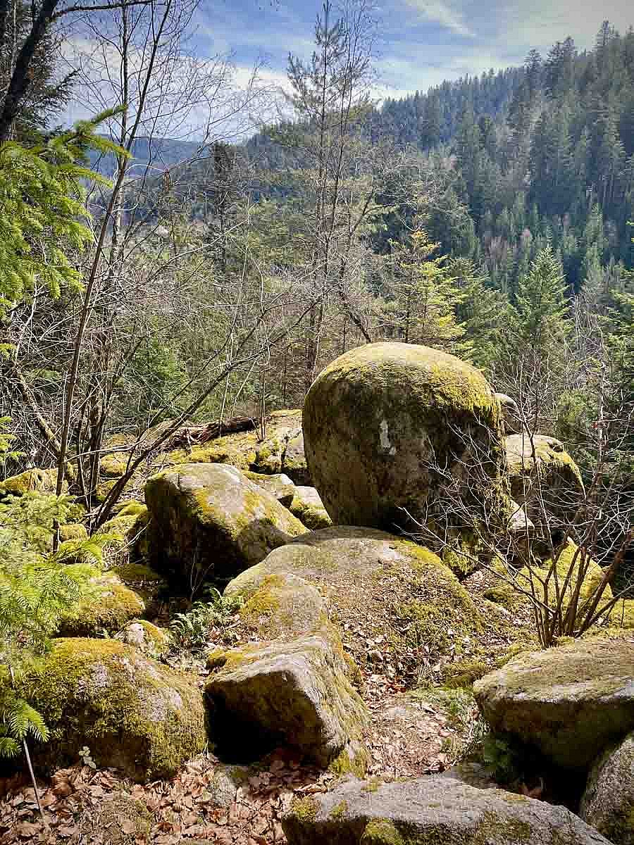 Wandern Lauterbacher Felsenmeer