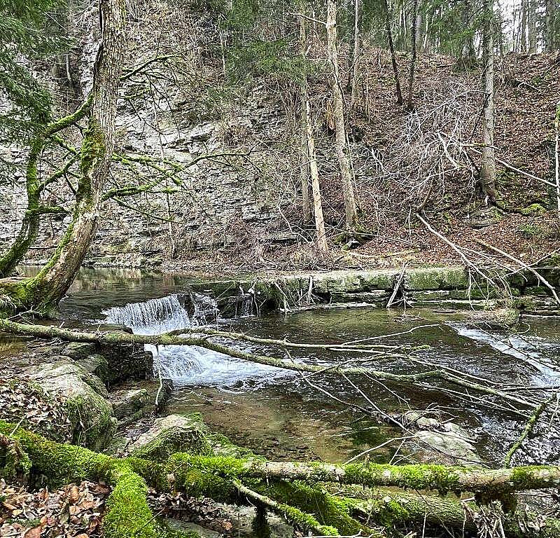 Wanderung Naturschutzgebiet Schlichemtal